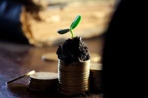 5 Tips For Growing A Small Business In 2015