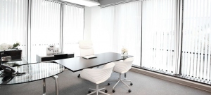 Virtual Office: An Innovative Support System For Business and Startups