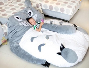 Totoro Bed For Kids