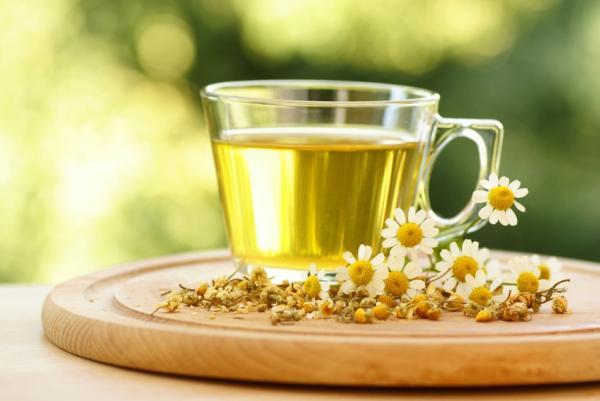 Chamomile Plant, Tea, And Oils Benefits And Uses