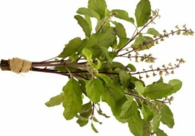 Experience The Benefits Of Panch Tulsi Drops