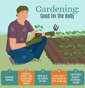 wellness benefits of gardening