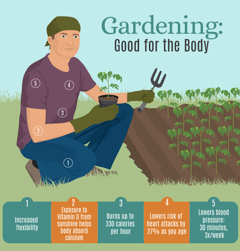 How To Start Your Own Wellness Garden