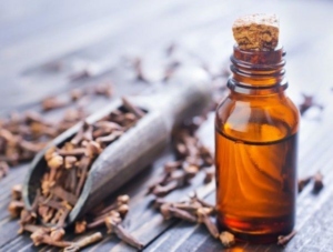 Herbal Oil Clove Bud Oil Health Benefits And Uses