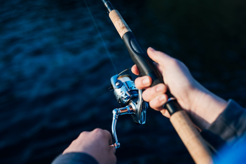 Everything You Need to Know Before Buying Fishing Rod