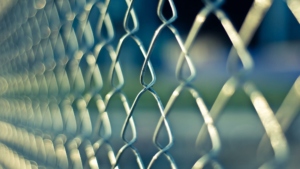 Ensuring Privacy: A Guide to the Different Types of Fencing Materials