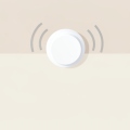 A white round smoke alarm on a ceiling emitting curved sound-wave arcs to suggest chirping